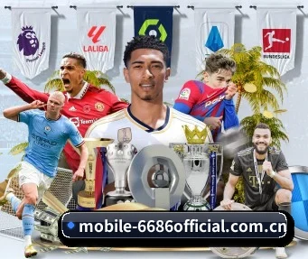6686体育 APP